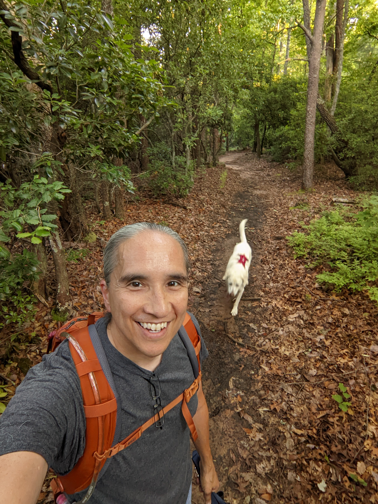 2022-06-02 Bull Mountain Loop – Dahlonega Georgia