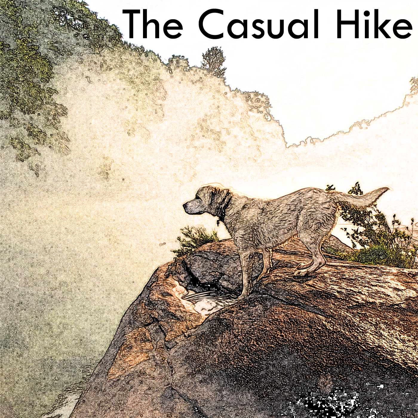 2022-06-02 Bull Mountain Loop – Dahlonega Georgia