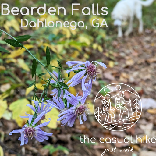 2023.10.19 Bearden Falls – Dahlonega, Georgia