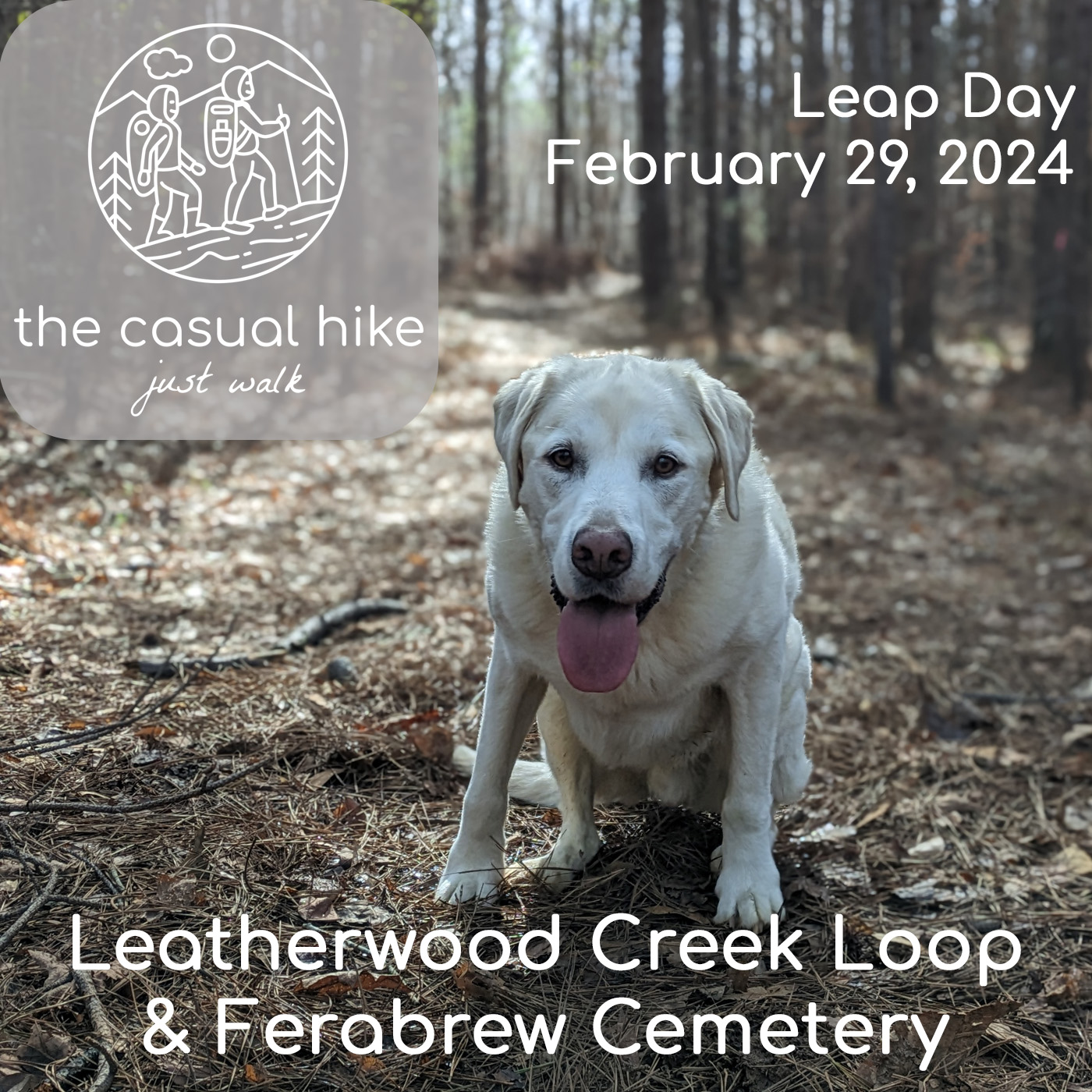Leap Day at Leatherwood Creek Loop, Toccoa, GA.
