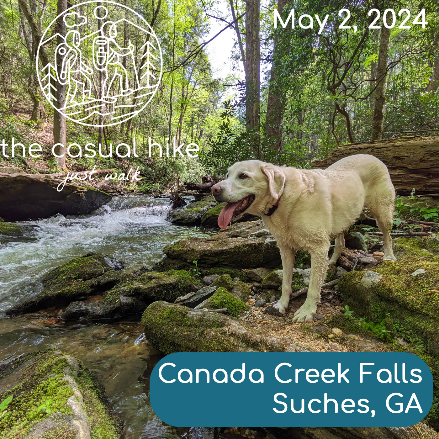Canada Creek Falls – Suches, GA