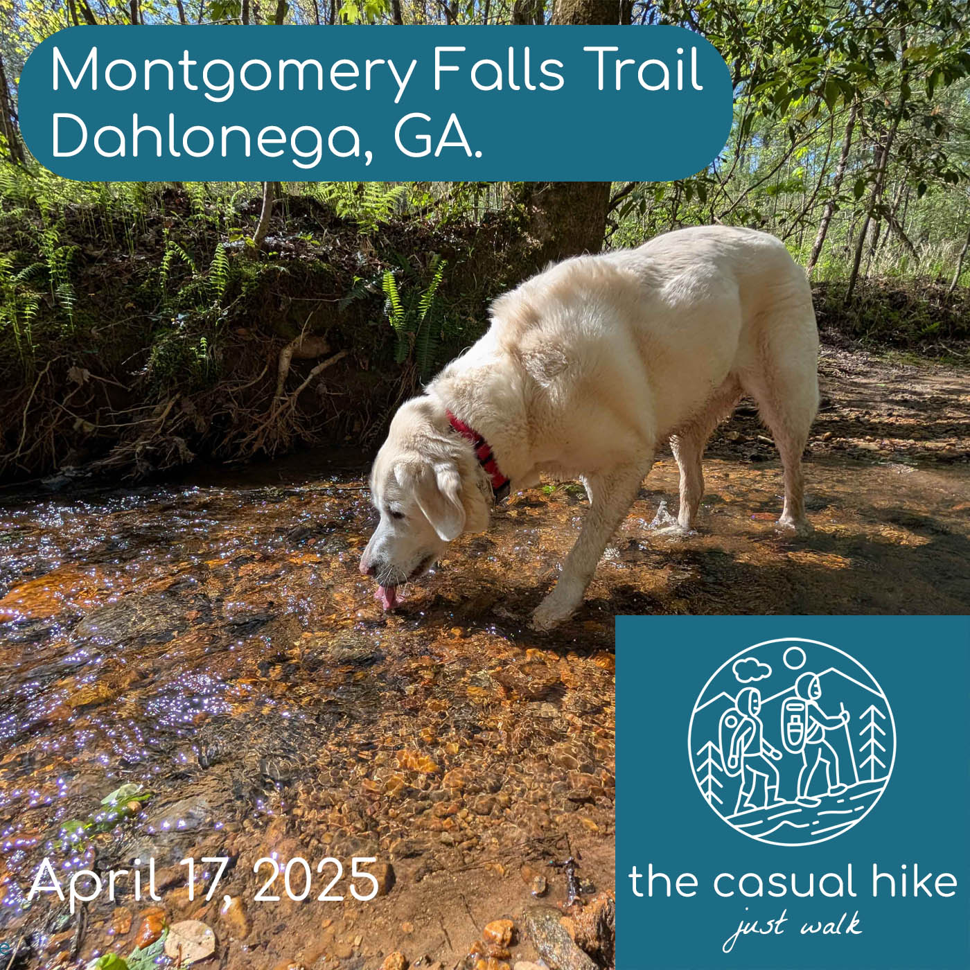 Montgomery Falls Trail – Dahlonega, GA