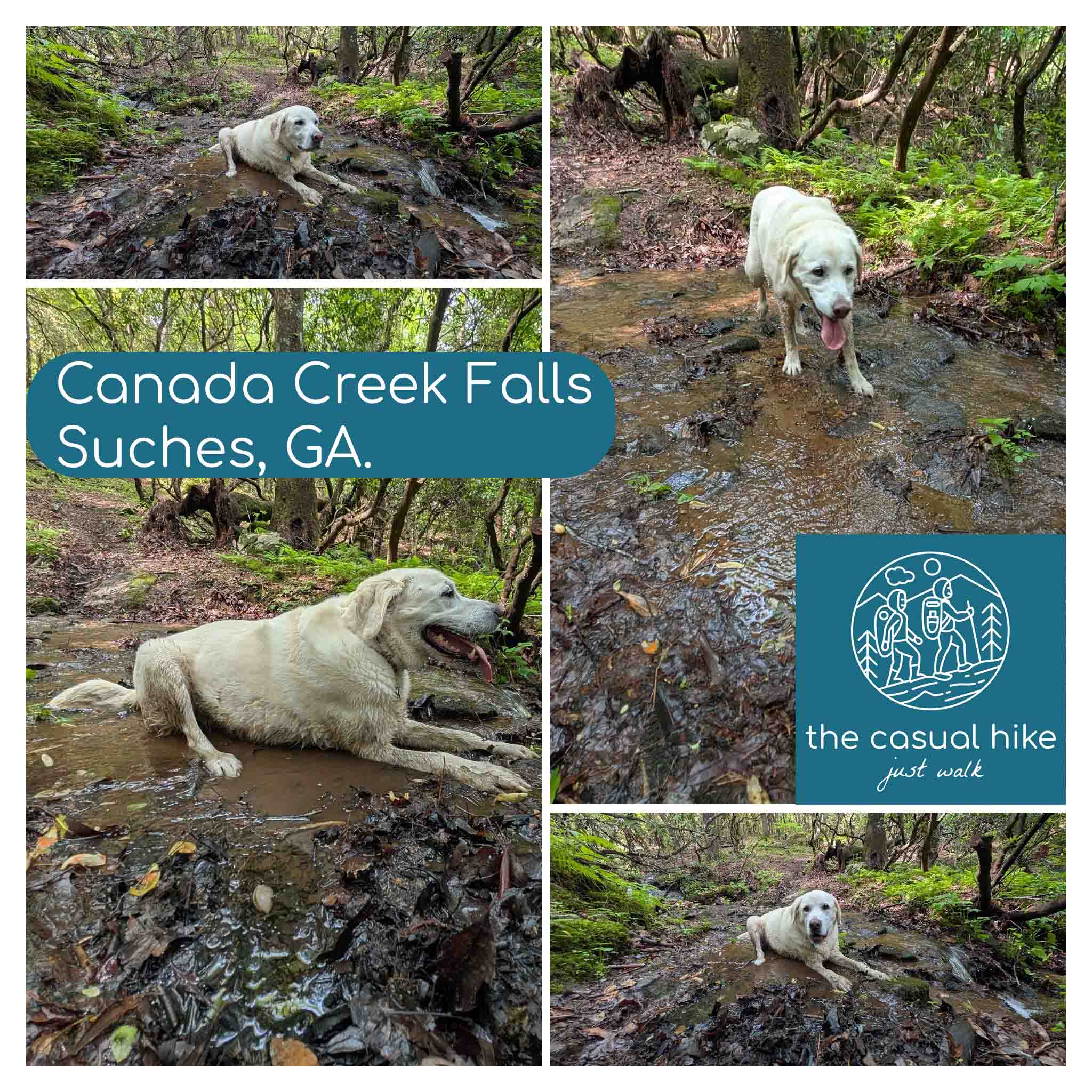 Canada Creek Trail – Suches, GA.