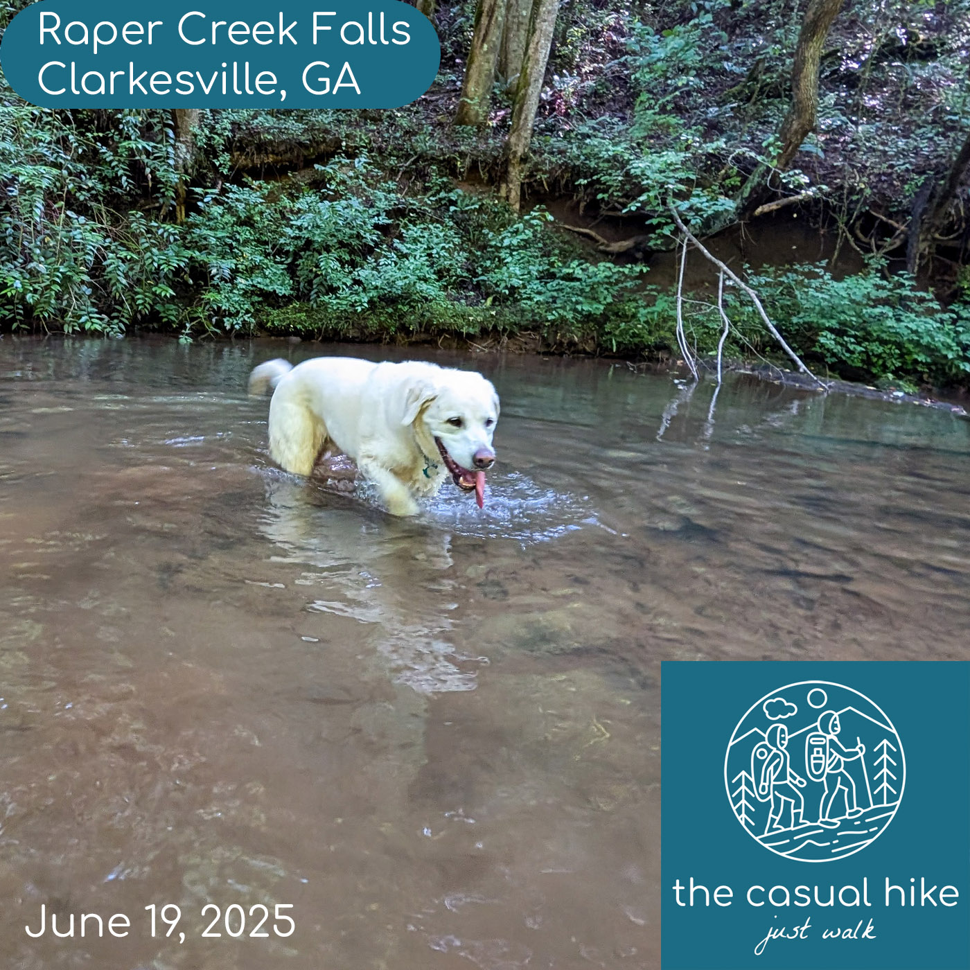 Raper Creek Falls – Clarkesville, GA