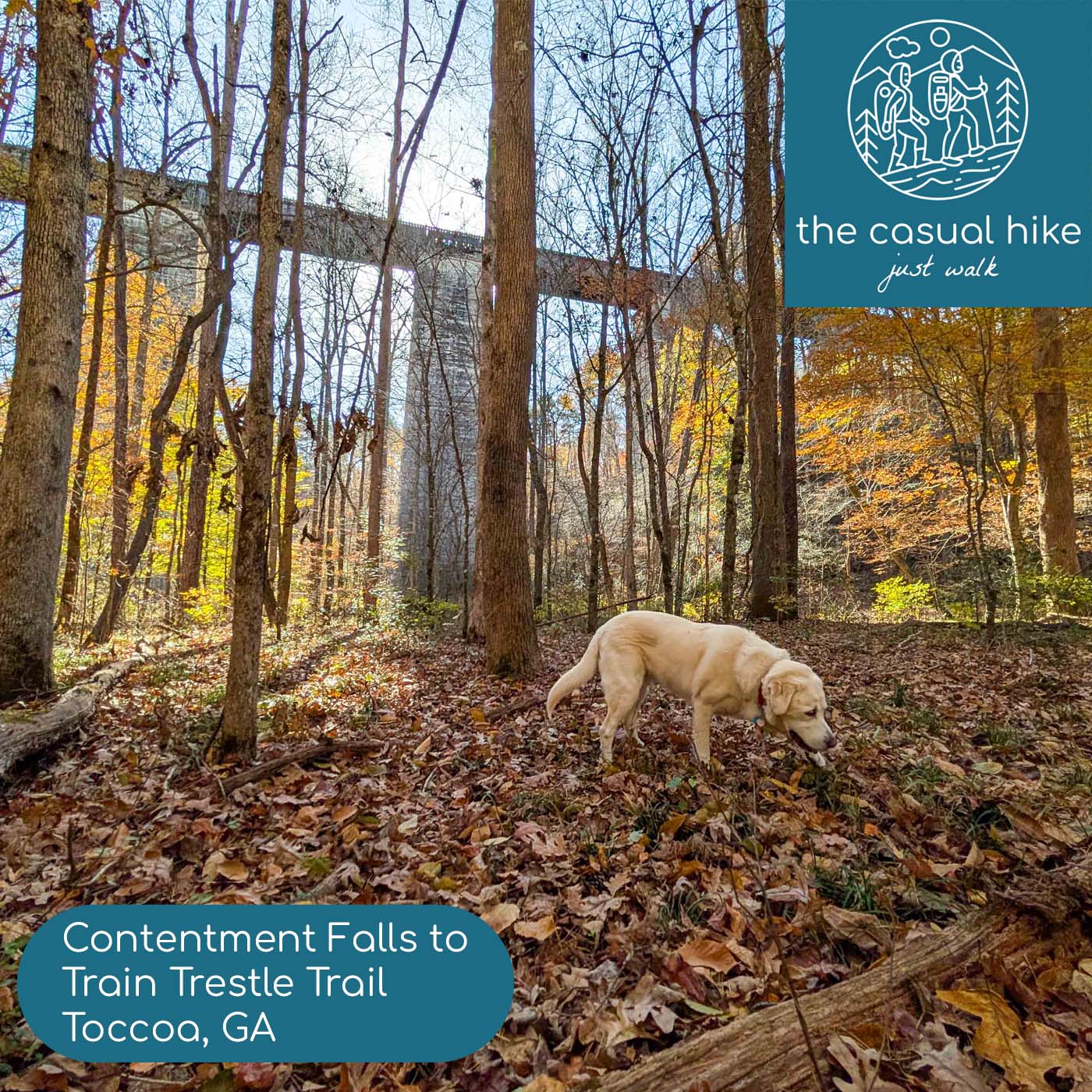 Contentment Falls to Train Trestle Trail – Toccoa, GA
