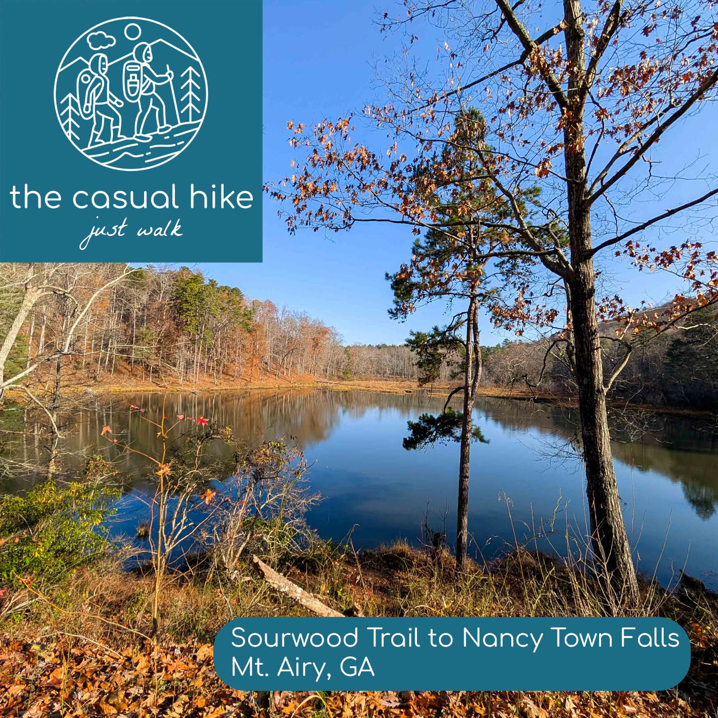 Sourwood Trail to Nancy Town Falls at Nancy Town Lake – Mt. Airy, GA
