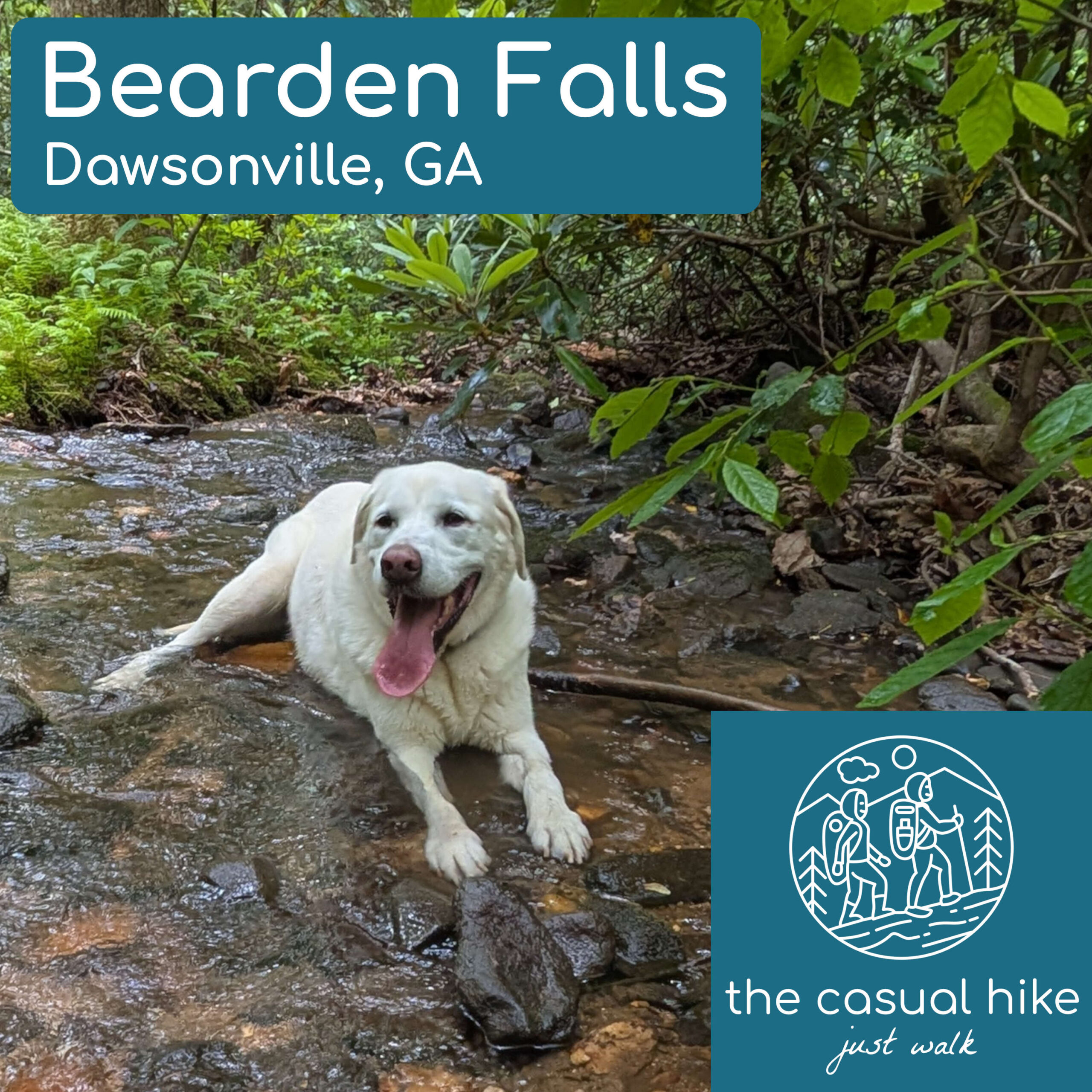 Bearden Falls Trail – Dawsonville, GA